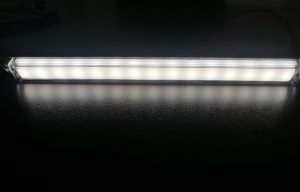 Led Neon Luces Gabarit 12V 24V Blanco Indicadora Remolque Camiónes E9 240mm