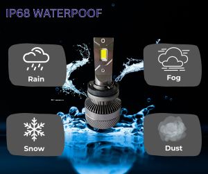 2 x LED H8 H11 12V 24V 16000LM 70W 6000K Scheinwerfer Lampen Autolichter Fahrzeug Canbus Fehlerfrei LKW PKW 