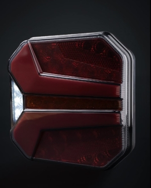 2 x LED Dynamic Bakljus Baklampa Tilhenger lastebil 12v 24v